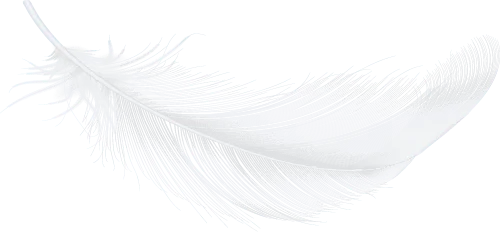 Design element feather